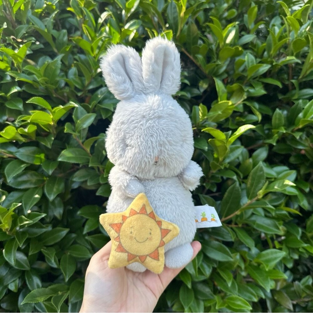 Bunnies by the Bay Cricket Island Bloom Bunny Gray Yellow Sun Moon